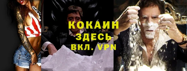 мяу мяу мука Вязьма